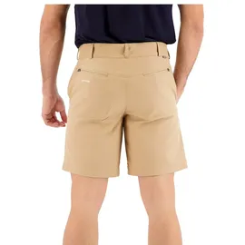 Icebreaker Hike Kurze Hose Beige 30