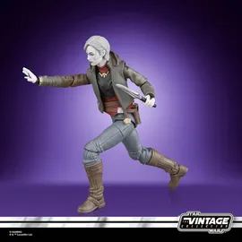 Hasbro Nightsister Merrin Actionfigur 10 cm - Lila/Multicolor