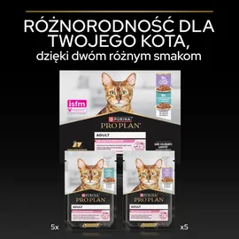 Purina Delicate Verdauung Truthahn Fisch Sauce 10 x 85 g