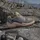 adidas Terrex AX4R Wanderschuh - Kid's Terrex / Multisportschuhe Gr 31