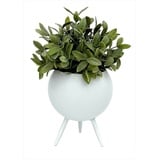 DanDiBo Ambiente DanDiBo Blumenhocker Metall mit Topf Weiß 19 cm Blumenständer 96259 S Blumensäule Modern Pflanzenständer Pflanzenhocker