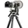 Gitzo GHFG1 Fluid-Gimbal-Stativkopf