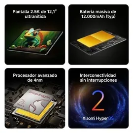 Xiaomi Redmi Pad 2 Pro 8 GB RAM 256 GB Graphite Gray