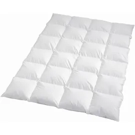 Traumschlaf Daunendecke Arktis extra warm, Füllung: 90% Daunen, 10% Federn 135x200 cm - weiß