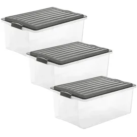Rotho Aufbewahrungsbox Compact 57,5 x 40,0 x 25,0 cm 3-tlg. grau/transparent