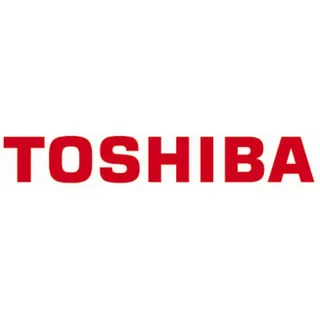 Toshiba Druckkopf 203dpi für Etikettendrucker B-EV4T, (7FM03784000)