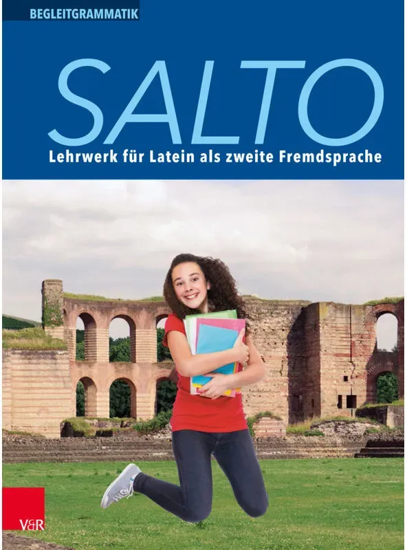 Salto Begleitgrammatik - Henning Haselmann  Francis Hennerici  Peter Jitschin  Günter Laser  Sabine Lösch  Kartoniert (TB)