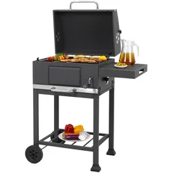 Holzkohlegrill TEPRO 