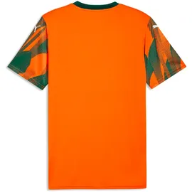 Puma teamFINAL Graphic orange/weiß L