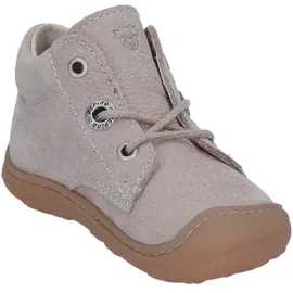 Pepino Cory grau 20