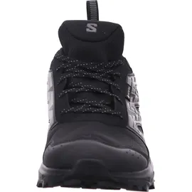 Salomon Wander GTX Herren Black/Pewter/Frost Gray 46 2/3
