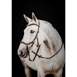 Horseware Micklem II Deluxe Competition Bridle mit Zügel, großes Vollblut