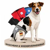 NATURE PET Premium Läufigkeitshose für Hündinnen – Hochwertige & Bequeme Hundewindeln für Hündinnen & Rüden – Waschbare Inkontinenz-Hundewindel ohne Einfädeln der Rute – S/Grau