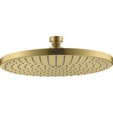 Hansgrohe Axor Starck Tellerkopfbrause 240 1jet brushed brass