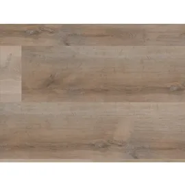 Starclic Designboden »Starclic Moreplus«, BxLxS: 220 x 1210 x 5 mm, Eiche - grau