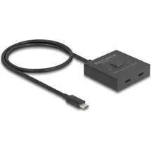 DeLock USB 10 Gbps USB Type-C Switch 2 auf 1 8K