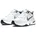 White/Metallic Silver