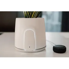 vitesy Natede Smart Natürlicher Luftreiniger Grün