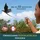 Spin Master Drachenzähmen leicht gemacht - Remote Control, Fliegender Drache Ohnezahn mit Fernbedienung
