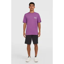O'Neill O’neill Hybrid Chino 19” Shorts black out (19010) 30