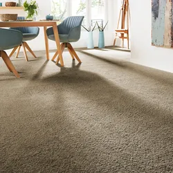 Teppichboden ANDIAMO "Verona, Velours, Made in Belgium", braun, B:500cm H:6mm L:300cm, Kunstfaser, Teppiche, Uni Farben, Breite 400 cm oder 500 cm, strapazierfähig, pflegeleicht