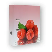 Stylex Motivordner DIN A4 80 mm Himbeeren
