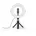LED Ringlicht mit Stativ Handy 8 Ringleuchte 21 cm Durchmesser