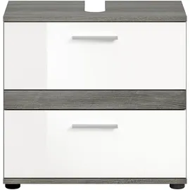 WELLTIME LUCCA Waschbeckenunterschrank 60 x 57 x 34 cm Grau/Silberfarben