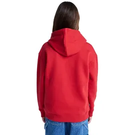 Element Hoodie Red 14