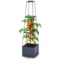 Gartenwelt Riegelsberger Blumenkasten mit Rankhilfe 28 x 28 x 115 cm Grau