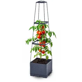 Gartenwelt Riegelsberger Blumenkasten mit Rankhilfe 28 x 28 x 115 cm Grau
