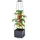 Gartenwelt Riegelsberger Blumenkasten mit Rankhilfe 28 x 28 x 115 cm Grau