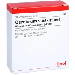 Cerebrum suis-Injeel