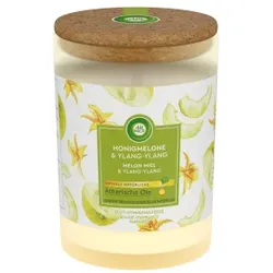 AIR WICK Duft-Stimmungskerze, 185 g, Duftkerze mit ätherischen Ölen fügt sich harmonisch in jedes Ambiente ein, Honigmelone & Ylang-Ylang