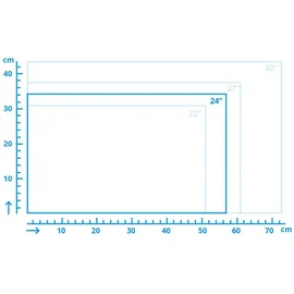 Iiyama ProLite E2482HS-B5 24"