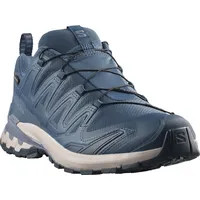 Salomon XA Pro 3D V9 GTX Herren Spellbound/Grisaille/Maritime 42 2/3
