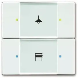 Busch-Jaeger Tastsensor 2/4fach 6126/02-84