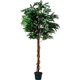 PLANTASIA Kunstpflanze Mangobaum 180 cm,