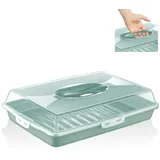 uandu Kuchen Transportbox | Rechteckig - Kastenform | Tortentransportbox mit Haube und Griff, Box mit Deckel | Kuchenplatte Aufbewahrungsbox | Kuchenbehälter | BPA Frei Tortenbehälter | Servierplatte