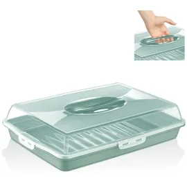 uandu Kuchen Transportbox | Rechteckig - Kastenform | Tortentransportbox mit Haube und Griff, Box mit Deckel | Kuchenplatte Aufbewahrungsbox | Kuchenbehälter | BPA Frei Tortenbehälter | Servierplatte