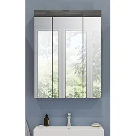 xonox.home Scout 725 60 cm rauchsilber