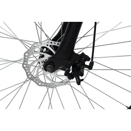 WYLD Heist 29 Zoll RH 51 cm braun
