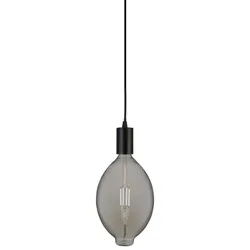 8W Riesige Led Balloon Dekorativer Rauchglas 2200K 500 Lumen geräuchert dimmbar