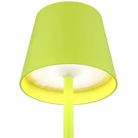 GLOBO Tischleuchte Grün