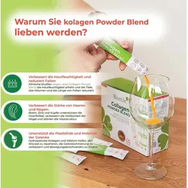 Biostile Collagen Powder Blend Pulver 300 g