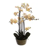 mucplants Orchidee Real Touch 70cm Peach im Keramiktopf Kunstblumen künstliche Orchidee