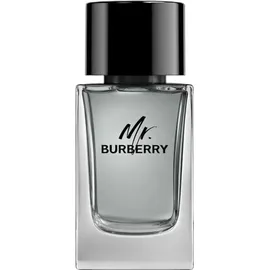 Burberry Mr. Burberry Eau de Toilette 100 ml