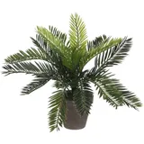 Mica decorations Mica Cycas Palme grün im Topf 33 x 34 cm
