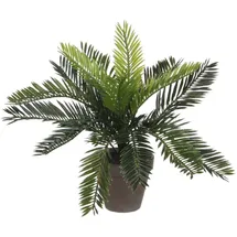 Mica decorations Mica Cycas Palme grün im Topf 33 x 34 cm