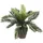 Mica decorations Mica Cycas Palme grün im Topf 33 x 34 cm